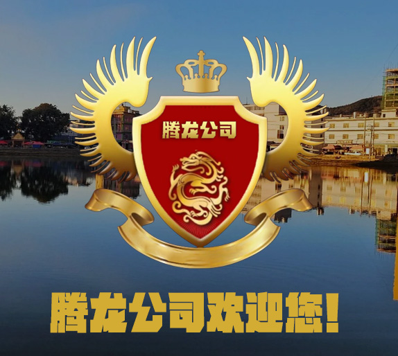 腾龙酒店外观